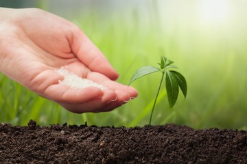 Agriculture.