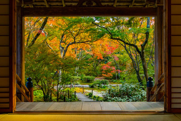 Fototapety  Jesienne liście w Kioto Jesień w Japonii