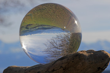 Wald in Kristallkugel, Längenberg,  Schweiz 