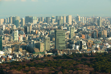 Tokyo City