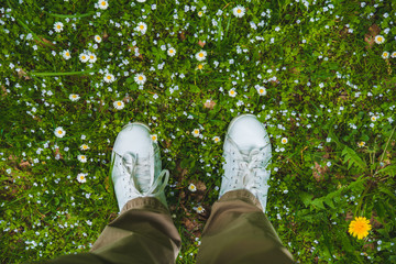 top view legs in white shoes on grass with white flowers