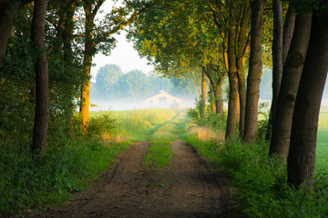 Wiejska droga i mgła w oddali