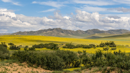 Fototapeta na wymiar Mongolian Mountains