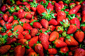 Background from freshly harvested strawberries, directly above