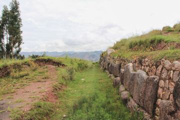 Fototapeta premium Caminos en campo