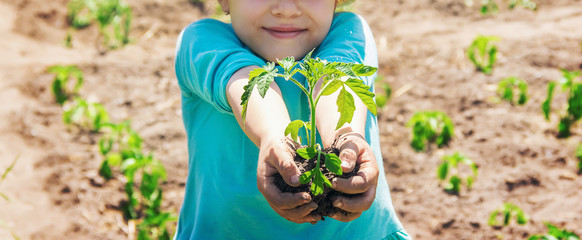 A child plants a plant in the garden. Selective focus.