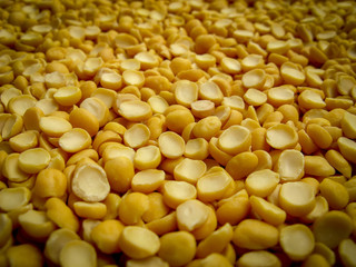 Close up of yellow split dried peas. Yellow split dried peas pattern as background