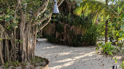 Malediven Dschungel