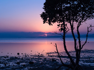 Fototapeta na wymiar 沖縄　石垣島名蔵湾　かずよの木の夕景