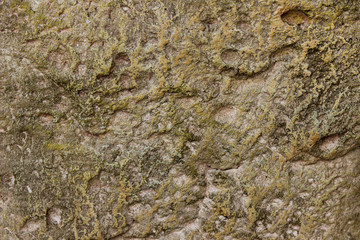 Colorful Texture  Background.Abstract Colors. Old Painted Wall.  Colorful Abstract Painted Background.