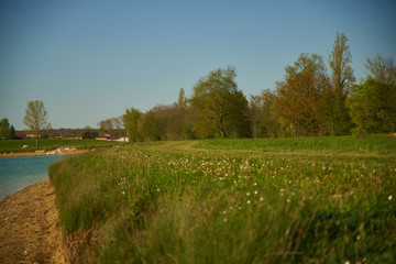 Chemin au bord du lac