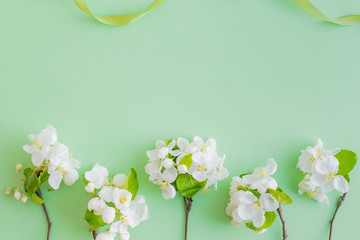 Flat lay composition with spring white flowers on a green background
