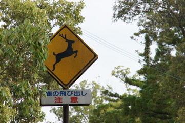 鹿の飛び出し注意