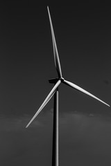 lone windmill bw