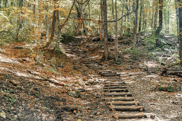  Wooden staircase on a forest path. Hiking trail in the big Crimean canyon, the Crimean peninsula,...