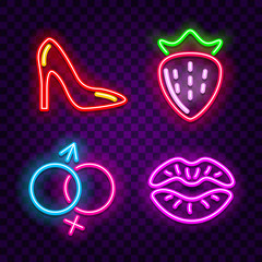 Erotic neon signs on dark background vector