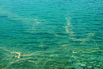 Pollution of clear sea water. Spot pollution floats near the coastline.