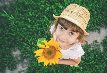 child in the field of sunflowers is a small farmer. selective focus.