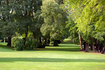 public park, ideal to spend a day with the family in full freedom immersed in nature. The freshly cut lawn is surrounded by trees of every species and color © LuckyLu