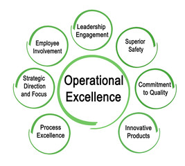 Drivers of Operational Excellence  .