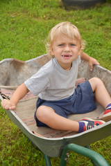 Happy little boy having fun in a wheelbarrow in domestic garden on warm sunny day. Active outdoors games for kids in summer.
