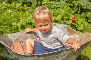 Happy little boy having fun in a wheelbarrow in domestic garden on warm sunny day. Active outdoors games for kids in summer.