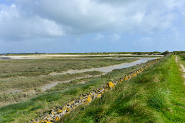 Dunes de Keremma, Site naturel protégé, Natura 2000, conservatoire du littoral, Plounevez Lochrist, Treflez, Finistère, 29 © JAG IMAGES