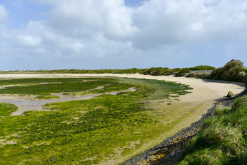 Dunes de Keremma, Site naturel protégé, Natura 2000, conservatoire du littoral, Plounevez Lochrist, Treflez, Finistère, 29 © JAG IMAGES