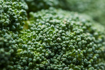Broccoli macro. Soft background