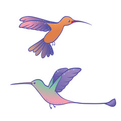 two hummingbirds in cartoon comic style