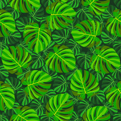 Green tropical leaf monstera seamless pattern, dark green background.