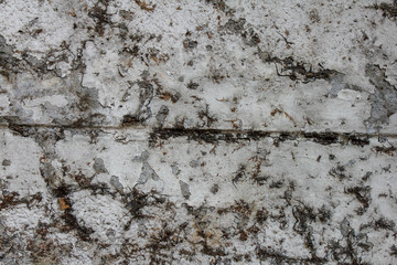 Dirty old walls ,Textured background