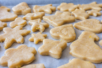 Fototapeta na wymiar Raw cookies before baking. Close up view, selective focus. Confectionery cuisine.