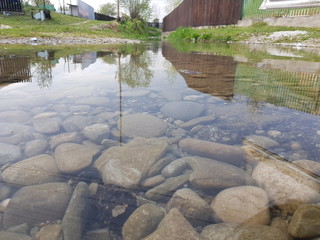 stream in the forest