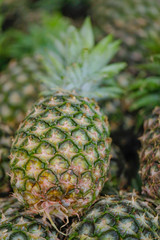 Pineapple fruit shop