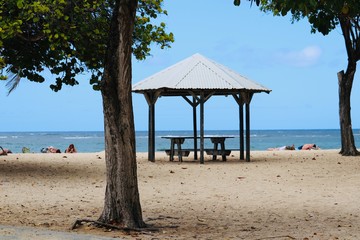 Plage table tropical 