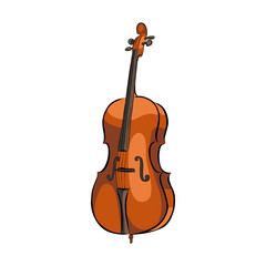 Fototapeta premium Hand drawn cello musical instrument, vector