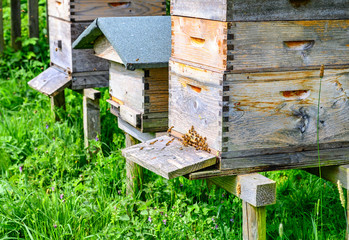 Obraz na płótnie Canvas Home made bee hives