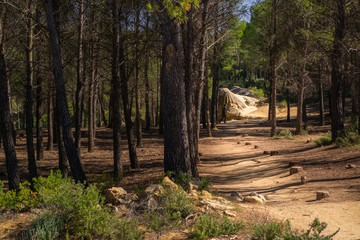 Ruta de las Caras