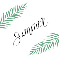 Vector tropical leaves and lettering - Sun, please. Cartoon style. Colorful illustration with place for your text. Summer banner. tropical leaves on white background.