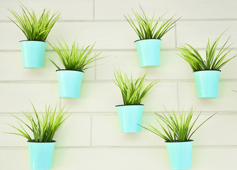 Plants in blue pots - wall decoration. The concept of repair, design, pattern.