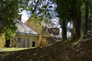 old house in the forest