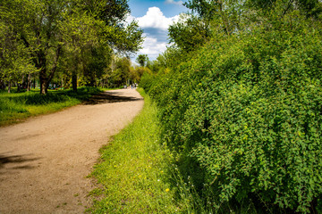 path in the park