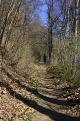hiking in the forest