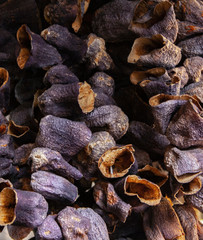 Close up picture of dried organic eggplants.
