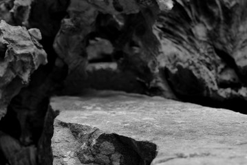 The Top of a Rock Shelf, Showing Lower Close Focus to the Mineral Stepped Edge, Leading to a Blurred Tree Root Cave Entrance.