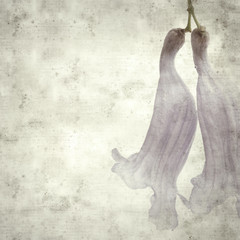  old paper background