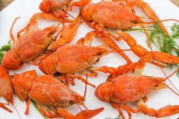 Cooked juicy red crayfish in a plate on a wooden table with a dill