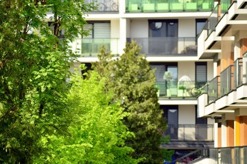 Obraz na płótnie Canvas Ornamental shrubs and plants near a residential city house