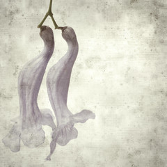  old paper background